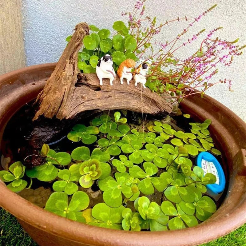 Decoração Criativa para Aquários, Mesas e Ambientes