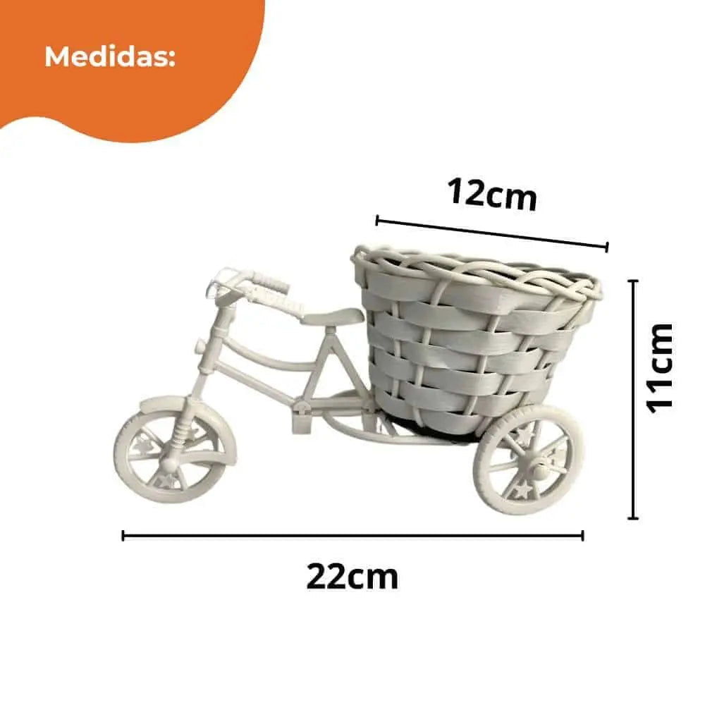 Decoração CriativaBicicleta Vaso de Plantas